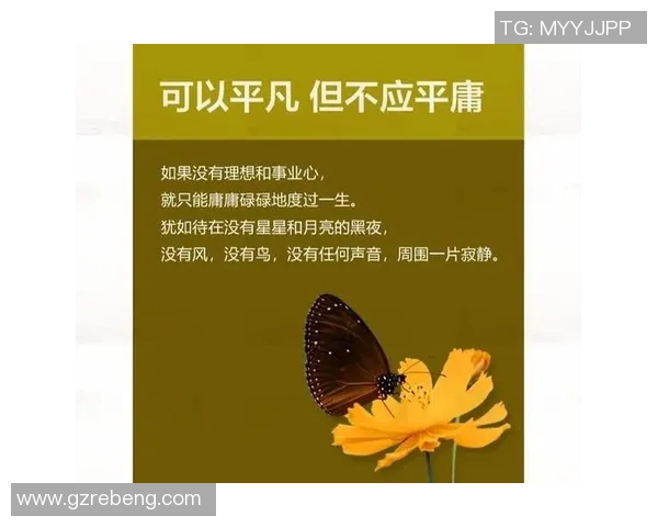 张宁的奋斗历程与人生哲学探讨：从平凡到卓越的心路历程